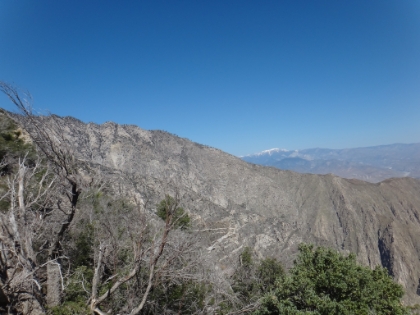 First view of the valley that the tram comes up, with San Gorgonio in the distance.