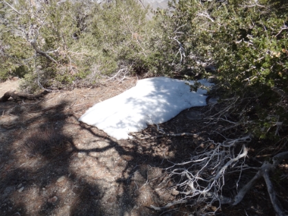 The first snow patch at around 7500'.