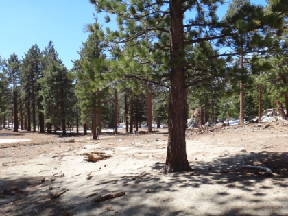 Long Valley at the top of Skyline. This was solid snow the last two times I was here.