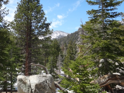 A look at the summit from just outside Long Valley.