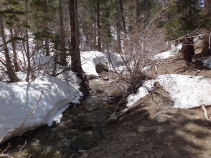 Starting to get into patches of snow. It was deep here last time.