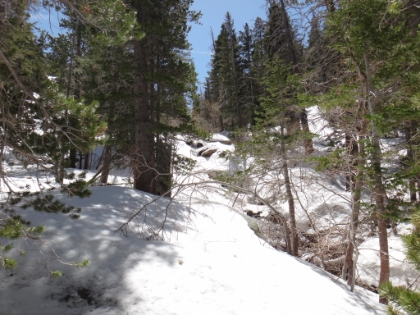 100% snow coverage the whole rest of the way after crossing the creek.