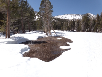Round Valley. The meadows are just starting to show through the snow.