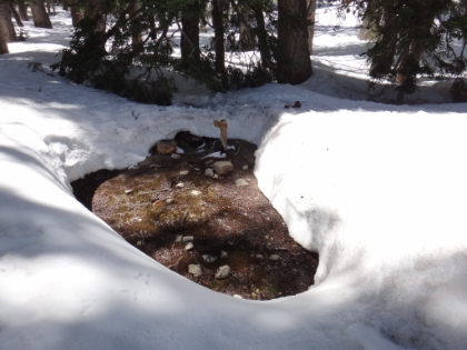 The backpacker's water stop at the edge of Round Valley.