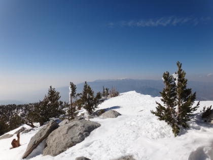 Mt. San Gorgonio in the distance.