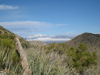 Cool view of San Gorgnio above a sea of clouds.