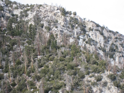 Good view of the tram. You can see the support tower and the gondola just to the left of it.