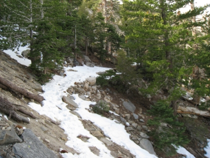 The snow starts to become more consistent as I reach Long Valley. The last mile or so would be pretty solid, and quite icy.