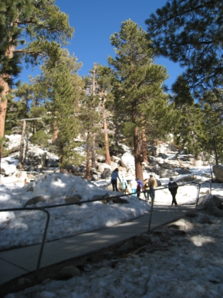 The path up to the tram lodge at Long Valley. There is no chance I'm going in there this time. Once you get in that nice warm lodge, with hot food waiting for you, it's way too hard to leave. Better to just push on for the summit.
