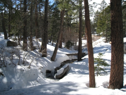 Long Valley Creek winding through through the snow. It's in the 30s at this point, but the sun is out and it's perfect snow trekking weather. Conditions are pretty icy, but I have my YakTrax on. They're definitely not like wearing crampons, but they're much better than MicroSpikes, and they're perfect for today's conditions.