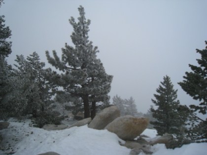 It's now starting to snow harder and the wind is howling. Temperature is now in the low 20s. I have a wind shell jacket on, but only sweats on my legs. And a beanie, but no face protection, so my nose is start to get really cold in the wind.