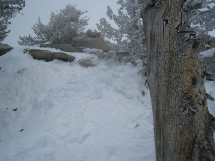 You can't really tell in this picture, but there are these amazing patches of blue ice that look like they're almost glowing blue.