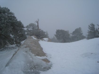 It's snowing really hard now and the wind is whipping. The tracks from my YakTrax are not very deep and they're dissapearing very quickly. I've been breaking trail for a while now, and I'm starting to get worried about finding my back without tracks to follow. I would normally be fine with coming down in the dark, but not in these conditions.