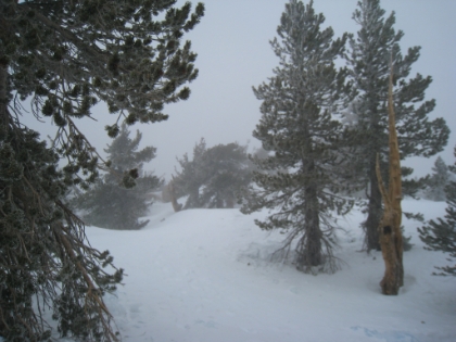 With no tracks to follow, the pace is much slower, which means I'm getting much colder. Summiting doesn't look too realistic for today.