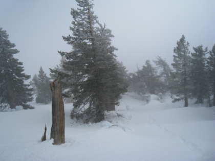 I normally don't get too panicky in conditions like this, but I was starting to get pretty worried here. It's amazing how you lose your sense of direction when you have no landmarks to use for orientation. I can't see the summit, or San Gorgonio, or Baldy, etc.  I have never been on this section of trail before, so I don't know the terrain at all. It's just trees and snow in all directions, and it all looks the same. And it's really, really cold. As long as I'm moving, I'm OK. But stopping even briefly is not fun. And even though I have a full insulation kit for the water bladder in my pack, the bite valve has frozen completely solid and I can't get any water out of it. I try sticking it in my armpit, but that's not working fast enough. I can't put it in my mouth for long, because I can't breath deep enough with my mouth closed. The compass on my GPS is not calibrated (it has to be constantly re-calibrated), and I'm too cold to want to stop to mess with it.  And I'm extremely pressed for time. This is when you're mind starts to turn stupid. In better conditions, there are probably a hundred things I would have thought to do. In these conditions, I basically just wandered around blindly trying to find the trail. I started worrying about not making the 9:30pm closing of the tram, and started thinking about having to spend the night up here. Not good considering my lack of warm gear. I quite literally wandered in circles for an hour. Finally I just went old-school, pulled out the compass, knew I had to head SSE, and went for it. I finally intercepted the trail about 30min later. Whew. I would be dissapointed later in having got so panicky, but I learned a lot of good lessons about orienteering in these conditions.