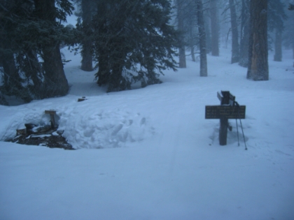 It looks like a pouring rain, except it's snow. It's snowing about as hard as when I was snowshoeing at the top of Icehouse Canyon with my dad, except a bit less windy. But at least I'm back to where I can see larger tracks than mine, and I'm starting to hit recognizable waypoints.