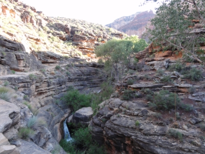 An unexpected waterfall as Garden Creek cuts its own little canyon in the area called the Tapeats Narrows. This looks to me like something from a movie set.