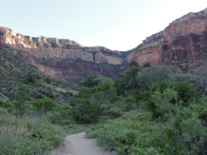 Approaching Indian Garden, a lush oasis in the middle of the Grand Canyon. Similar to Roaring Springs, there are several springs that form here when water seeping through the rock layers hits an impervious layer. This area was farmed by the Havasupai Indians as early as 1300 AD, and was used by prehistoric humans before that.