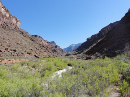A look down the long valley towards Cottonwood Camp. This was one of the mentally toughest sections of the trip for me, particularly on the way back. You're staring at the same destination at the end of the valley for miles and it's just rolling terrain. Really the only relatively boring section of trail in the entire 46 miles. And it's also the hottest, probably into the low 80s, which is actually mild for the Grand Canyon in May.