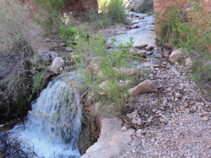 The water crossing before Cottonwood Camp. Evidently this can get pretty deep eariler in the year, but it's just a couple hops across the rocks right now.