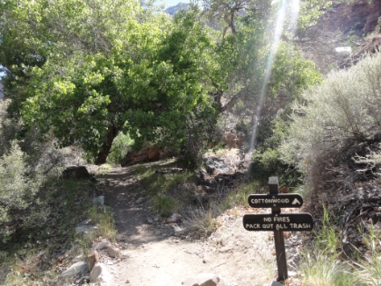 Made it to Cottonwood Camp, roughly halfway between the River and the North Rim. It's a 14 mile round-trip from here to the rim and back, and this is the last water stop, so I fill-up. I actually ran dry before making it back here later in the day, which was the only time I had water problems on the whole trip.
