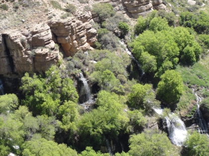 A zoomed-in look at the springs from higher up the trail. There are actually dozens of springs flowing from the cliff wall wherever the water can escape.
