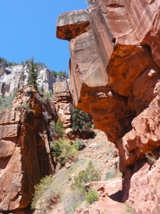 Now fully into the Redwall layer of rocks. Very rugged and very red. Here again the trail is blasted straight out of the cliff wall.