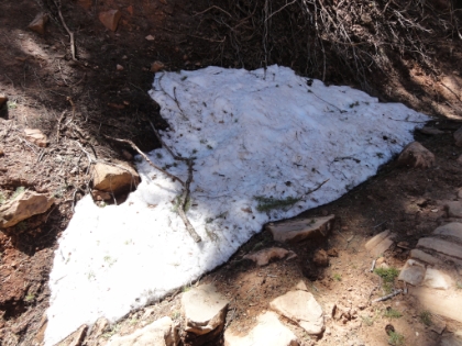 The first official snow sighting at around 7000'. Actually it was also pretty much the only snow along the trail below the North Rim.