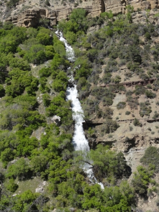 A zoomed-in look at Roaring Springs.