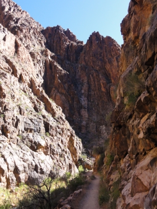 The trail momentarily leaves the creek and takes a detour when the canyon becomes too narrow.