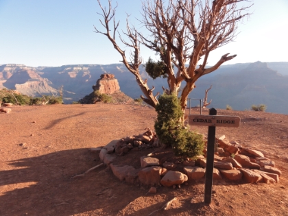 Made it to Cedar Ridge. 1,140' drop in about 1 1/2 miles.