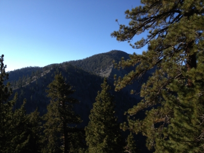 Our first look at the Backbone Trail headed up to Pine Mtn.