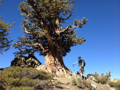 A great picture of Dad at a lookout spot nearing the top of Pine Mtn.