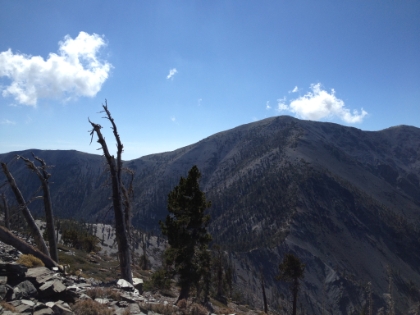 A look at the trail, which drops 800' from Dawson Peak down to the saddle and then makes the brutal final 1200' climb to the summit. We ate lunch at the saddle right before the climb. Dad decided to call it a day at that point. Considering how tough this trail is, he did awesome! It was already after 1:00pm, and we were pushing our turnaround time in order to make it back before dark. Unlike most trails, this one has almost 30% of its total elevation gain on the way back, so you have to save some serious energy for the return trip. Dad said he would wait if I wanted to go up a ways towards the summit. The time was 1:37pm, and the deal was I had one hour. He would start heading back at 2:37pm sharp. I left my pack (and water) and decided to make a mad dash for the summitt. I figured 45 minutes up, 15 minutes down, and I just might be able to pull it off...