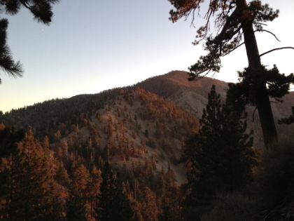 The sun is setting now, giving everything a beautiful reddish glow as we get off the Backbone Trail.