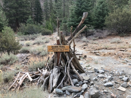 Some interesting new signage for the Acorn Trail.