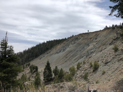 I always love this bowl.