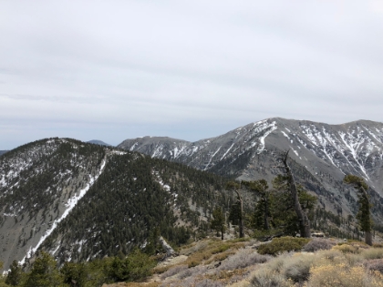 Top of Pine Mtn with the view of Dawson and then the rest of the Backbone trail up to the Baldy summit.