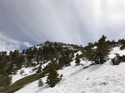 Within site of the top.