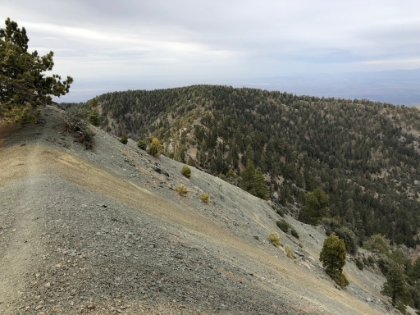 That would be one heck of a ride...