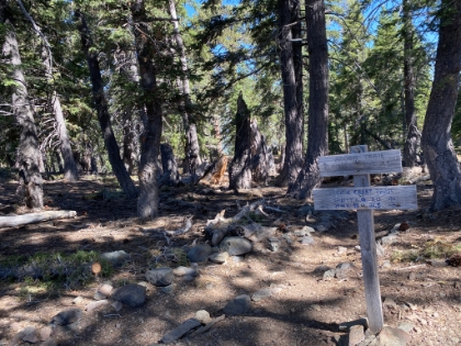 Made it up to the top of the Acorn Trail. They've done a lot of work on this section of trail, including a brand new path up from town. I hope it doesn't get over developed!!