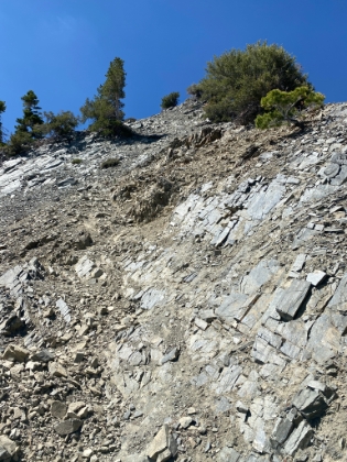 Fortunately the "trail" up Pine Mtn is rugged enough that it will hopefully never get over developed.