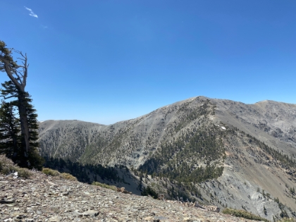 Almost to Dawson Peak now. The first look at the 800' drop to the saddle is always demoralizing. The negative gain on this trail is just brutal.