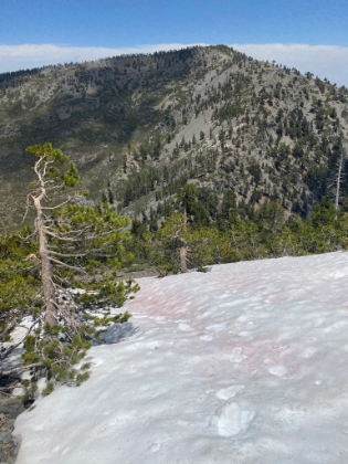Heading back down the snow field following the only pair of prints (mine).