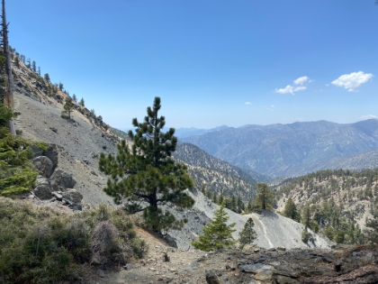 Back down to the saddle below Dawson. I took my break here rather than on the summit. Total quiet and solitude here. I'll take this any day over the crowds on top.