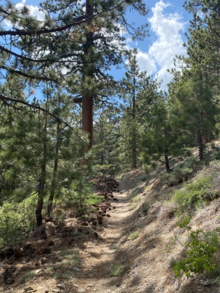 Heading back down the PCT. I sure am glad I know to use this section of trail now instead of the fireroad!