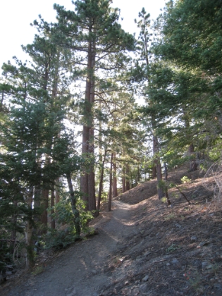 Up the Acorn trail in the morning sun with beautiful views.