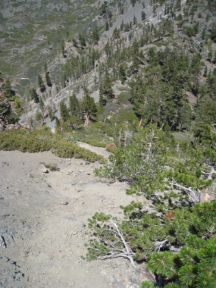 One of the few pictures I have taken that actually conveys some sense of the steepness of this trail. I am not sure how/why I ever tried this trail in the snow.