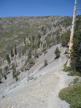 That little thin line is the trail. Definitely not the place to be if you're afraid of heights.