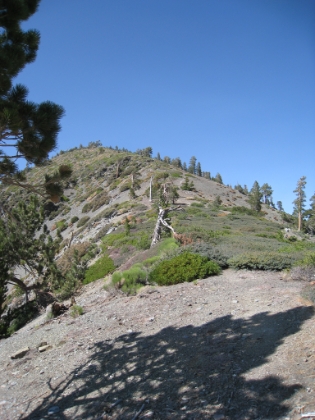 Heading back up the other side of Pine Mtn. This trail has almost 3000' of elevation gain on the way back, which is why it is physically and mentally one of the toughest trails in Southern CA.